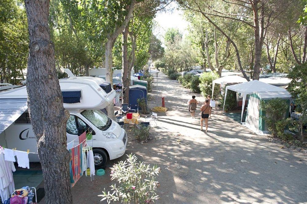 New Camping Le Tamerici Cecina  Eksteriør bilde
