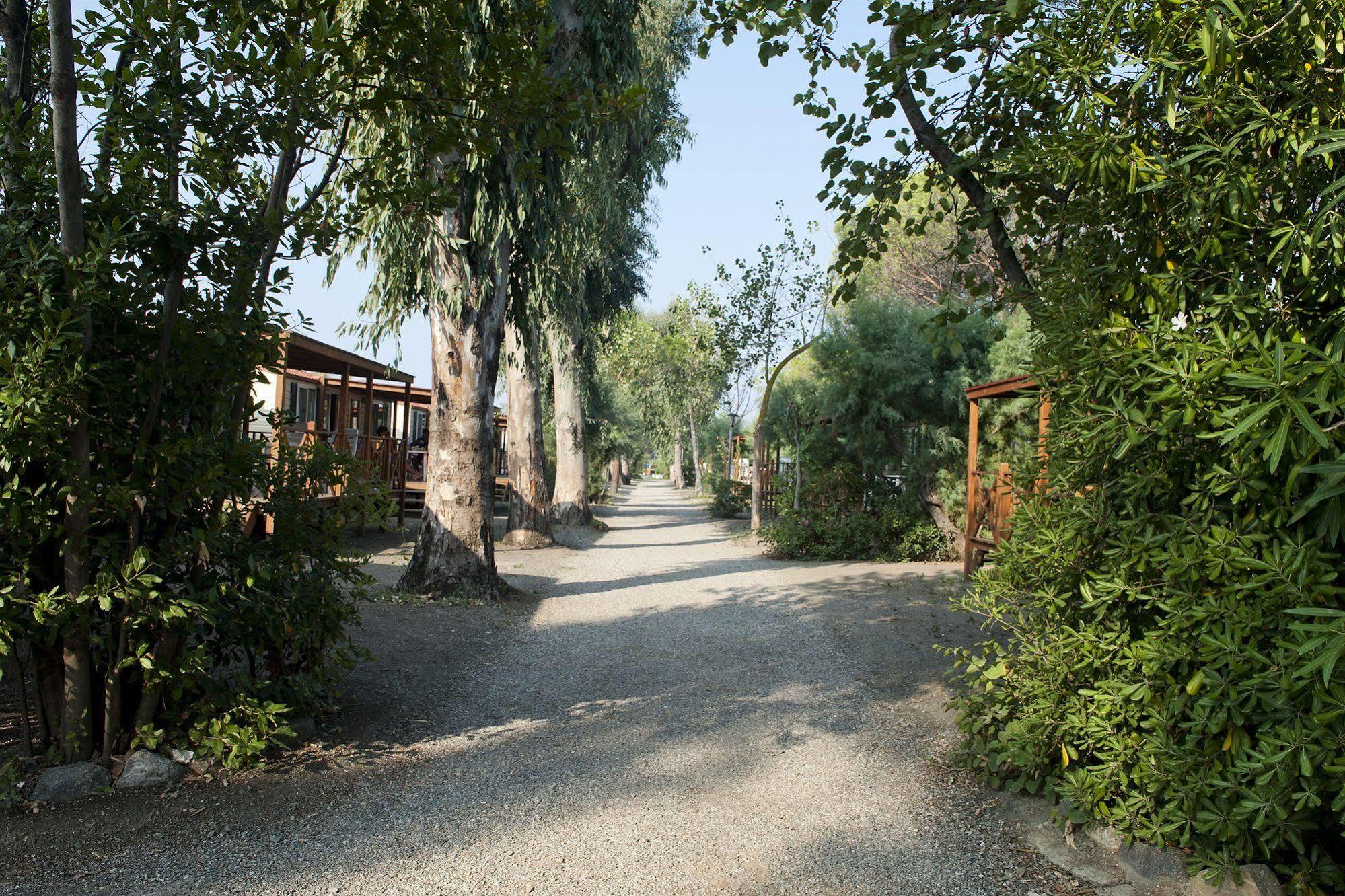 New Camping Le Tamerici Cecina  Eksteriør bilde